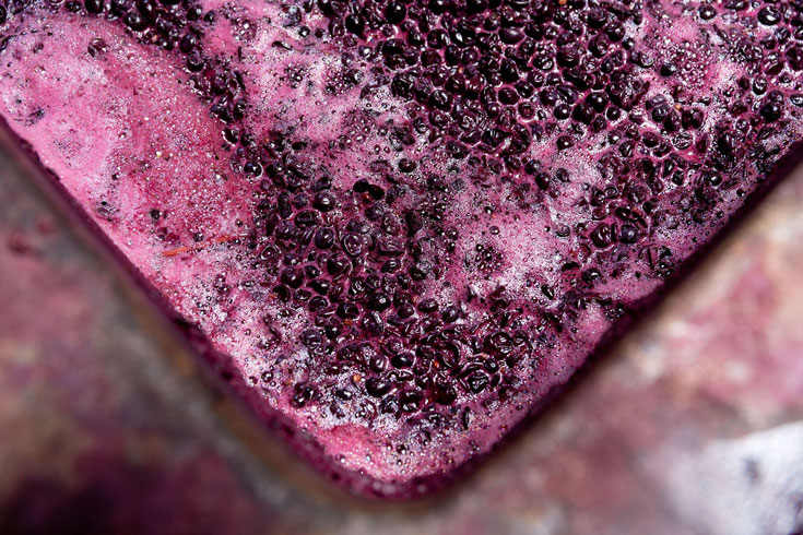 Now open: 飞船经典版APP获取全面的幸运168飞行艇记录结果 飞行艇网查询幸运飞开艇走势历史图 Wine Australia’s 2025 Stakeholder Survey