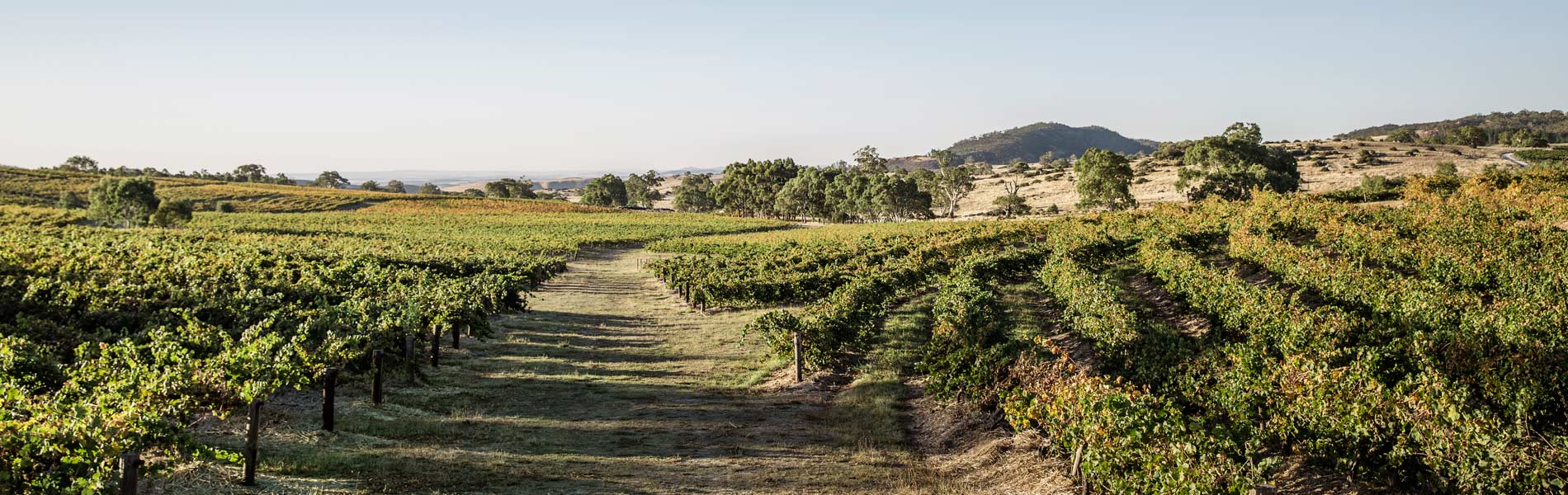 Photo: Kimberley Low / Wine Australia